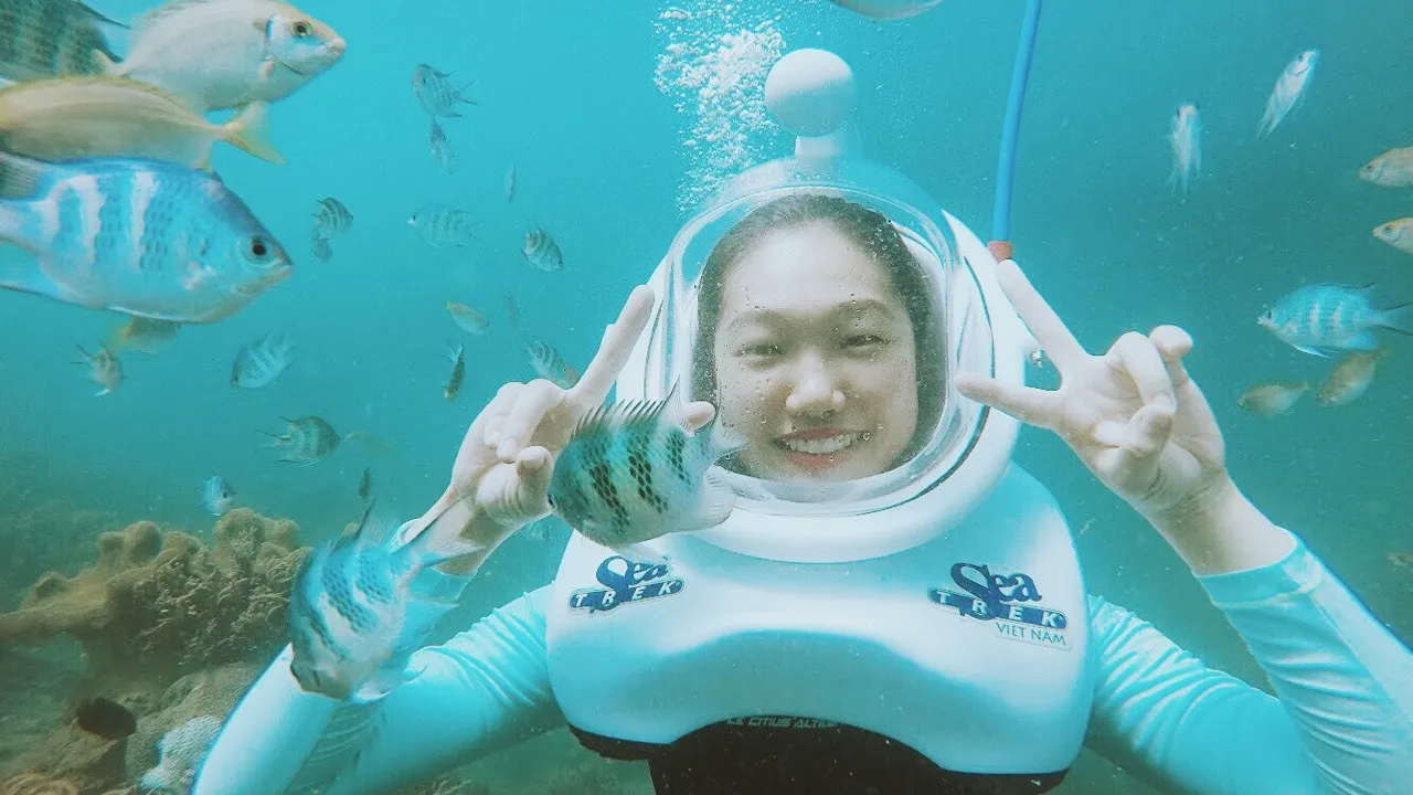 Private Cham Island Snorkeling Tour By Car With Guide From Da Nang