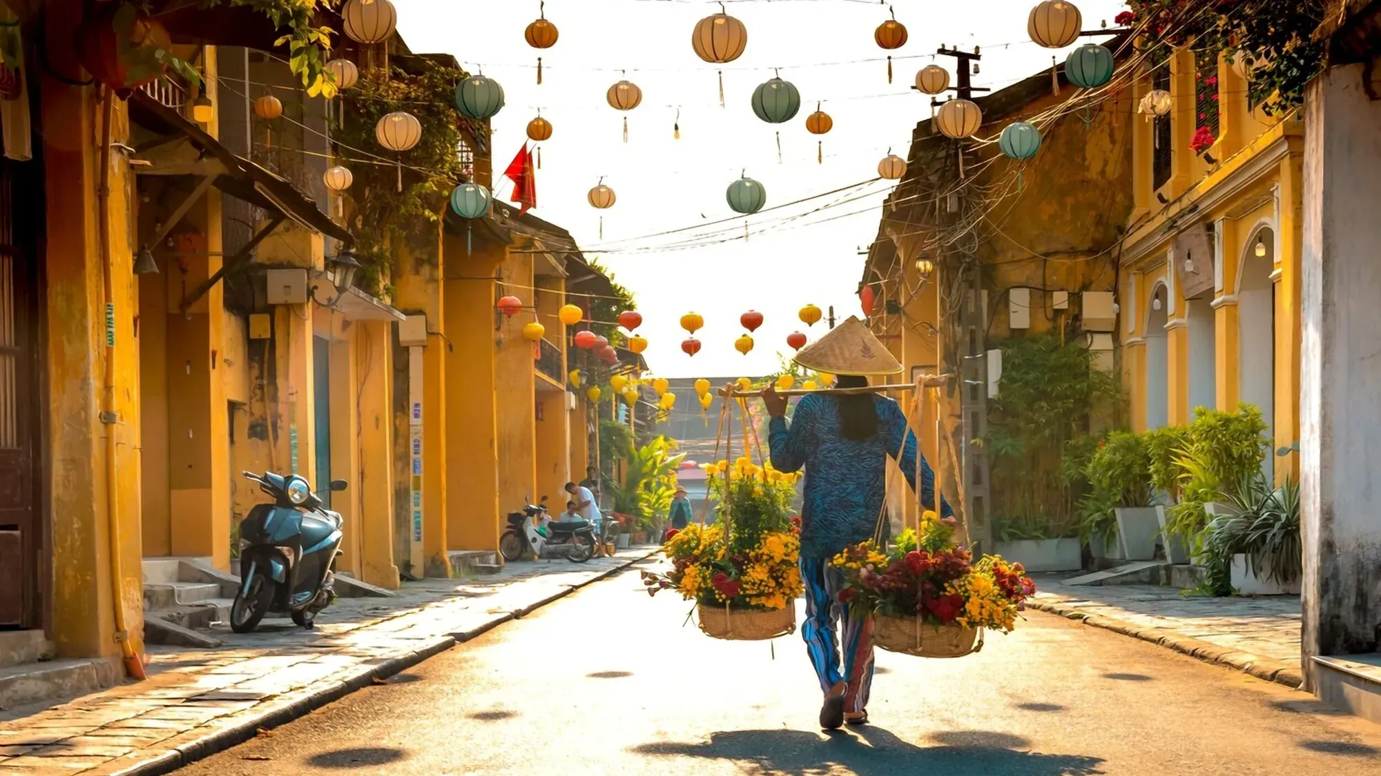 Private Half Day Hoi An Tour By Car With Guide From Hoi An
