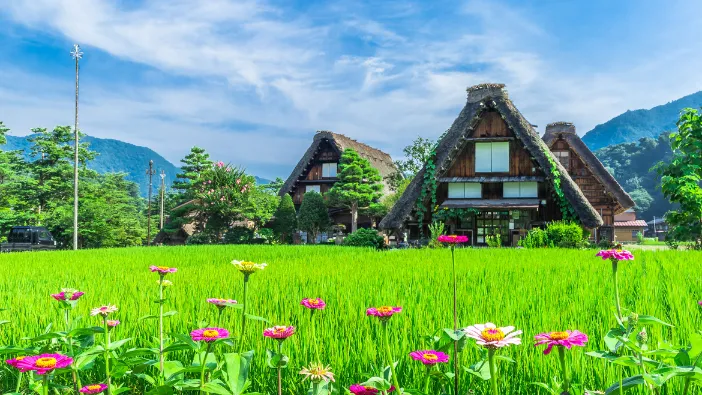 Shirakawa-Go Village & Takayama UNESCO Day Trip From Tokyo By Private Car With Guide