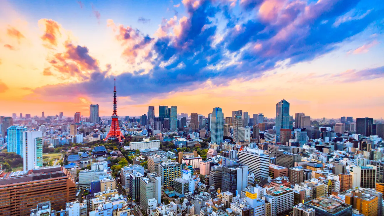 Private Tokyo City Tour By Van With Guide