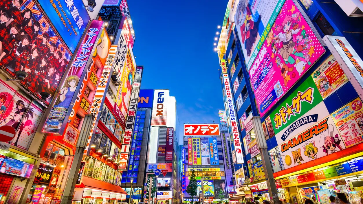 Private 100% Customizable Tour: Tokyo In A Day By Private Car With Guide
